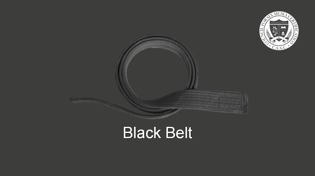 BLACK-BELT-LEAN-SIX-SIGMA